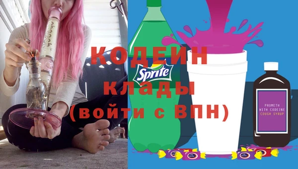 хмурый Покачи