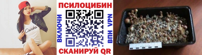 Галлюциногенные грибы GOLDEN TEACHER  купить закладку  Яровое 